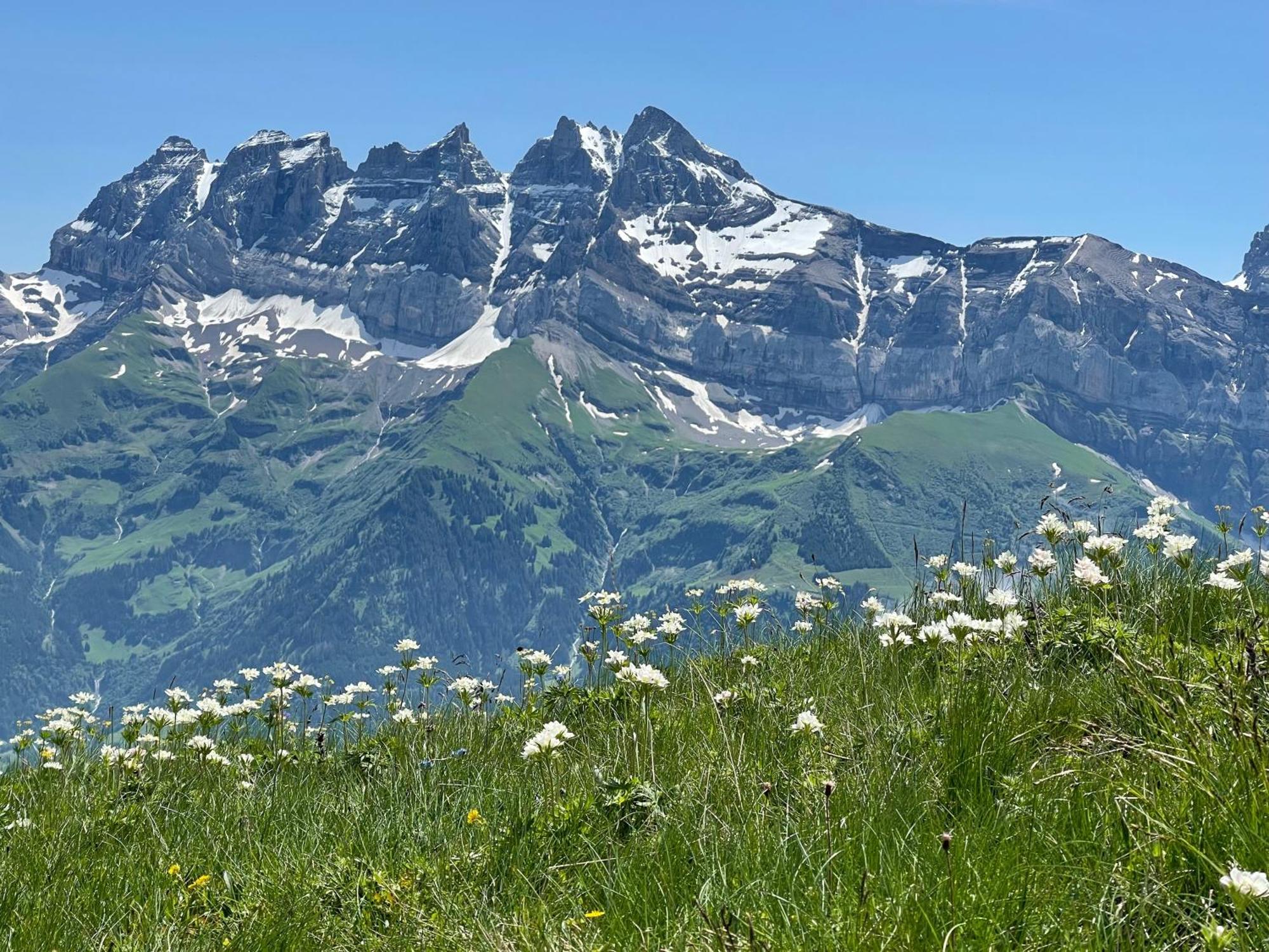 Chalet Montriond - Bike & Ski Les Crosets Exterior photo